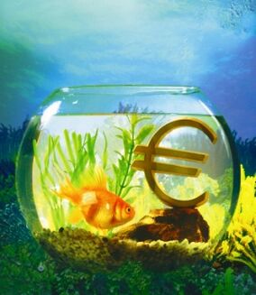 Acuario con peixes dourados para atraer cartos